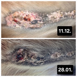 20240128_201253.jpg (1.65 MiB) 2360 mal betrachtet Vergleich