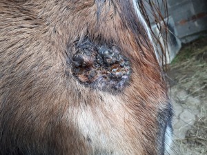 20190308_084609.jpg (6.32 MiB) 5105 mal betrachtet 7 März Nur eine klitzekleine rote Stelle geschmiert
