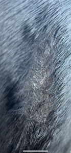 IMG_1607.png
