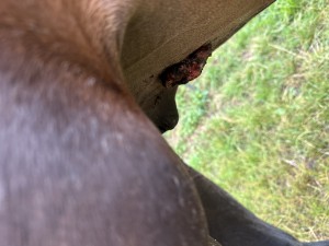 Leicht geschwollen