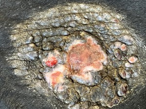 IMG_0680.jpeg
