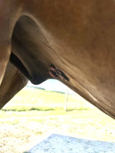 IMG_2256.jpeg (2.2 MiB) 1318 mal betrachtet Die Erhöhung hinten, hängt noch zu Hälfte fest, unter der ich aber ja schon länger darunterschmiere