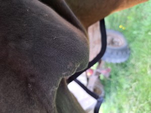 20240825_160652.jpg