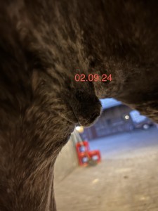 IMG_4924.jpeg