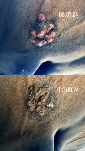 18D2E925-831C-427D-A073-DE9FA2268834.jpeg