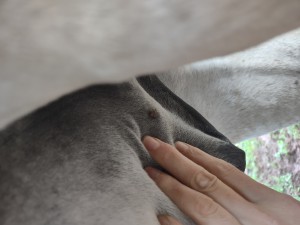 Tag 1.jpg