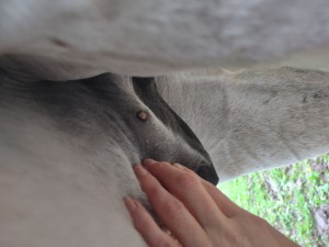 IMG_20240916_172020198.jpg