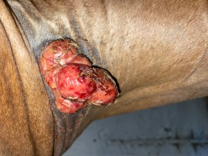 3. Behandlungstag 15.09.24
