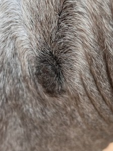 IMG_5402.jpeg