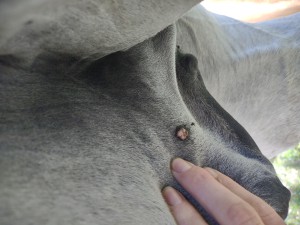 IMG_20240919_103511784.jpg