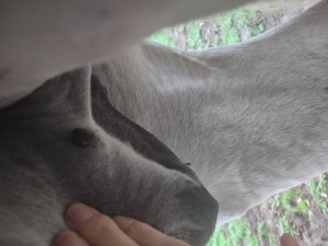 IMG_20240927_155333324.jpg