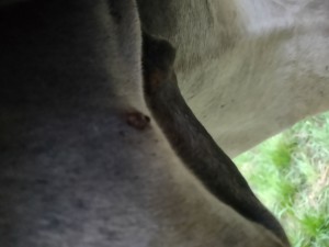 IMG_20241003_184700168.jpg