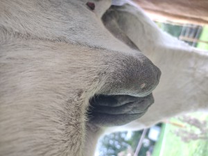 IMG_20241004_161052881.jpg
