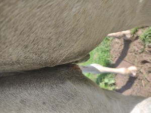 IMG_20241007_125854903.jpg