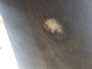 20241019_154349.jpg
