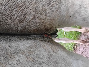 IMG_20241022_123419927.jpg