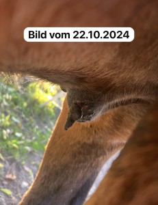 IMG_6227.jpeg