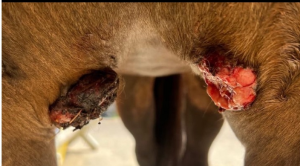 Mai.png (703.55 KiB) 845 mal betrachtet Mai