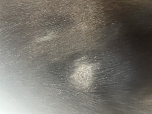 Brust Heilsalbe? Oder weiter schmieren??