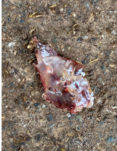 IMG_5699 (002).png (2.26 MiB) 798 mal betrachtet ca 2x2cm