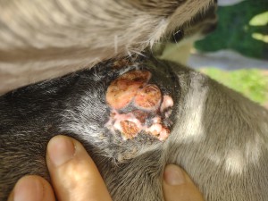 IMG_20241025_153408880.jpg (2.95 MiB) 786 mal betrachtet 25.10. Seite