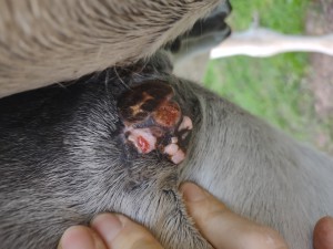 IMG_20241029_165847159.jpg (2.68 MiB) 789 mal betrachtet 29.10 Seite