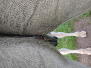 IMG_20241030_164454440.jpg (2.64 MiB) 786 mal betrachtet 30.10.