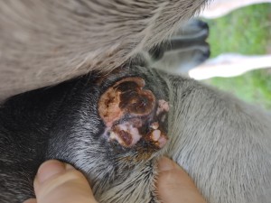 IMG_20241030_164505584.jpg (2.61 MiB) 789 mal betrachtet 30.10. Seite