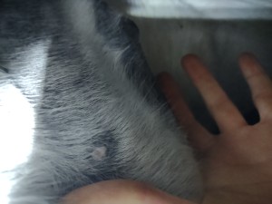 IMG_20241118_195024655.jpg