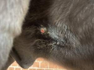 IMG_3640.jpeg