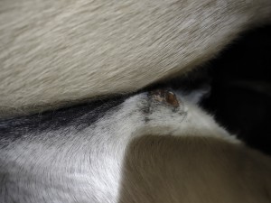 IMG_20241120_200318134.jpg