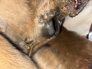 IMG_9185.jpeg