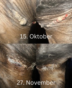 Achsel rechts.jpeg (1.06 MiB) 438 mal betrachtet Achsel rechts