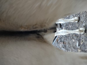 Freitag 1