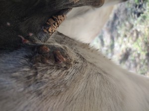 IMG_20241130_134204987.jpg