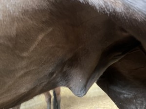 IMG_4677.jpeg