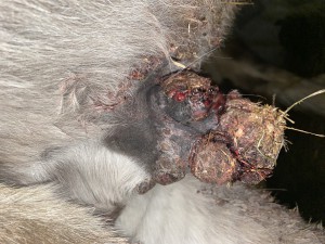 IMG_0482.jpeg