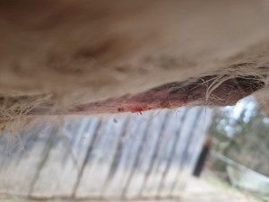20250124_162100.jpg