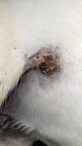 14_01_2025.jpg (758.46 KiB) 1330 mal betrachtet 14.01.2025