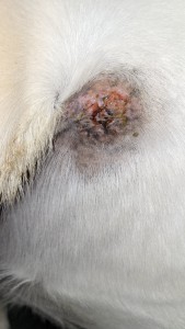 20_01_2025.jpg (853.57 KiB) 1330 mal betrachtet 20.01.2025