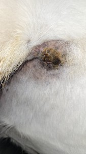 24_01_2025.jpg (687.75 KiB) 1330 mal betrachtet 24.01.2025