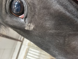 IMG_0182.jpeg