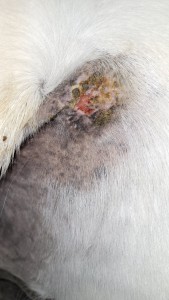 03_02_2025.jpg (898.85 KiB) 1276 mal betrachtet 03.02.2025