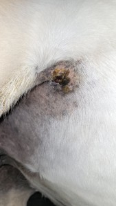 08_02_2025.jpg (815.36 KiB) 1276 mal betrachtet 08.02.2025