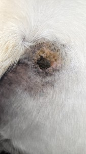 30_01_2025.jpg (751.35 KiB) 1276 mal betrachtet 30.01.2025