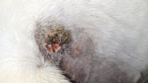 20250213_182230.jpg (2.31 MiB) 746 mal betrachtet 13.02.2025