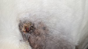 20250217_193832.jpg (2.49 MiB) 746 mal betrachtet 17.02.2025