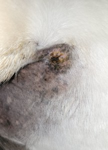 20250219_171550.jpg (1.86 MiB) 746 mal betrachtet 19.02.2025