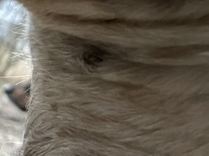 IMG_8015.jpeg