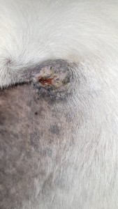 22_02_2025.jpg (931.04 KiB) 720 mal betrachtet 22.02.2025